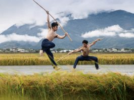 Tanzhighlights im Festspielhaus