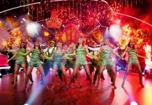 Let’s Dance – die große Profi-Challenge