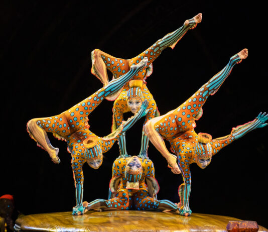 KURIOS – Kuriositätenkabinett in Wien